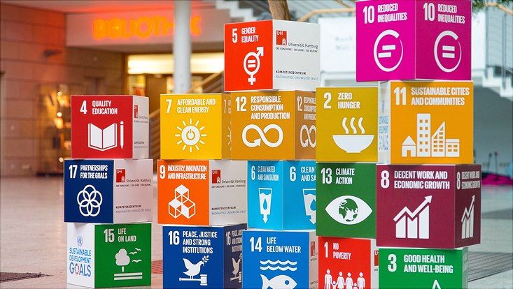 SDG blocks SDG blocks