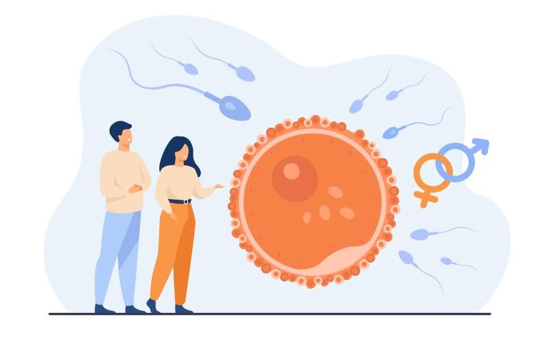 Fertility and parenthood concept (By @pch.vector on freepik.com) Fertility and parenthood concept (By @pch.vector on freepik.com)