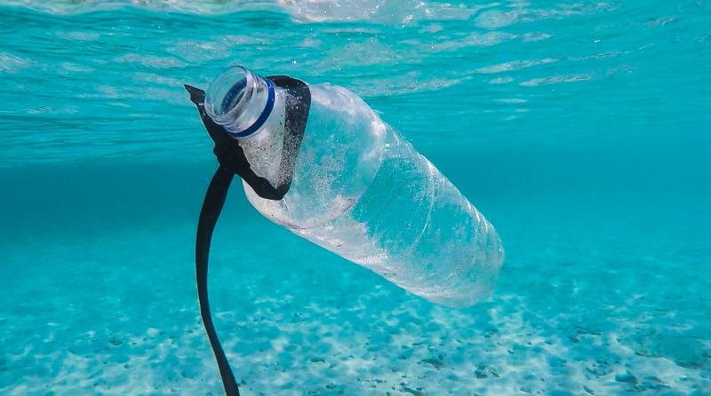 ODS 14 - La apuesta de no usar plásticos!